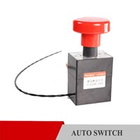Auto Power Switch Push Button UL Micro Switch